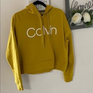 Calvin Klein Cropped Hodie